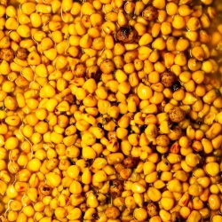 Senzor, Amestec de Seminte In Zeama, Galeata de 5kg (nu se livreaza prin curier) - Img 2