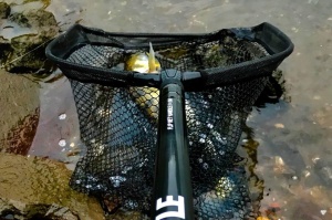 Coada Telescopica, FL, Freestyle, Flip Net Handle - Img 5