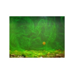 Korda, Atractant Goo, Bair Smoke, 115ml