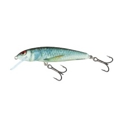 Salmo Vobler Minnow Floating M5F - Rainbow Dace (RBD)