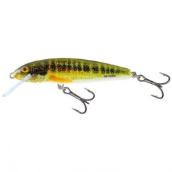 Salmo Vobler Minnow Floating M6F - Holo Real Minnow (HRM)