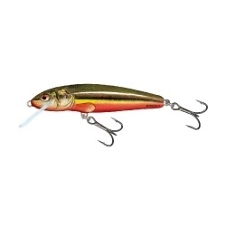 Salmo Vobler Minnow Floating M7F - Rainbow Dace (RBD)
