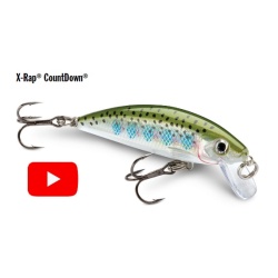 Vobler Rapala X-Rap® CountDown 7cm