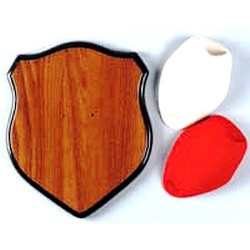 Arrow Panoplie Trofeu Vanatoare Hunter S