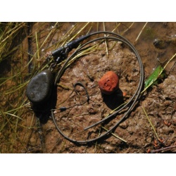 Korda Tub 2 mt. Tunsgren Weed Pt. Monturi