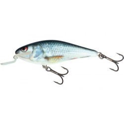 Salmo, Vobler, Executor, Real Dace, Floating Shallow Runner