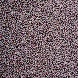 Senzor Pellets 1.5 mm/1 kg. Top Feeder - Img 8