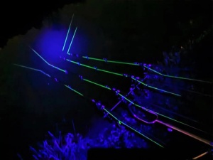 Katran, Fir Pescuit Fluorescent, Synapse Neon - Img 5