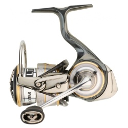 Mulineta Luvias LT FC, Daiwa