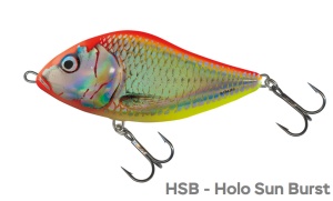 Vobler, Salmo Slider, Sinking, 10 cm - Img 9