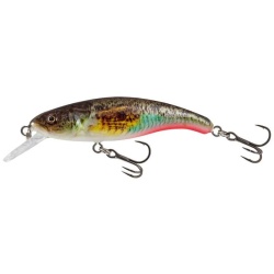 Salmo, Vobler, Slick Stick, Supernatural Gobie, Floating 6cm, 4,5gr.
