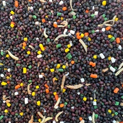Senzor Pelete Apa Rece Mix 2-3mm 1kg - Img 2