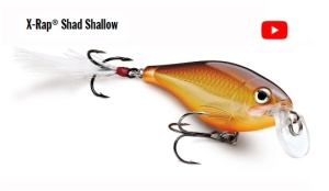 Vobler X-Rap® Rapala Shad Shallow (X-Treme) 6cm - Img 1