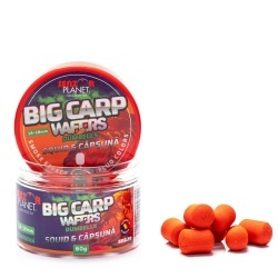 Senzor Wafters Big Carp, Fumigena 16-18 mm, 60 gr. - Img 3