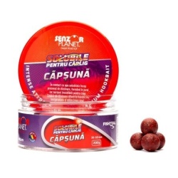 Senzor Boilies, Solubil de Carlig 16-18mm 200gr. - Img 2