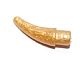 53451-115 Hoorn klein (oa voor Vikinghelm) goud, parel NIEUW *0L015
