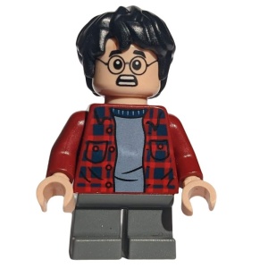 hp143 HP Harry Potter - Geruit rood shirt NIEUW *0M0000