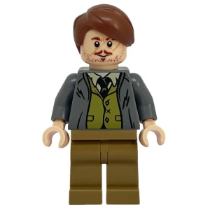 hp157 HP Professor Remus Lupin NIEUW *0M0000