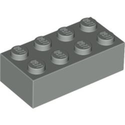 3001-9G Steen 2x4 lichtgrijs (klassiek) gebruikt *1A060