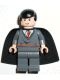 hp043G Neville Longbottom gebruikt *0M0000