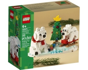Set 40571-G Wintertime Polar Bears, met doos (99% compleet) gebruikt * - Img 2