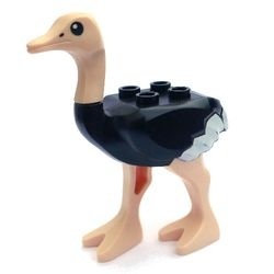 24689pb01c01 Struisvogel zwart NIEUW *0D000