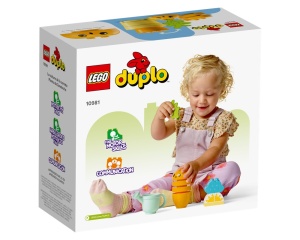 Set 10981 Groenten NIEUW *
