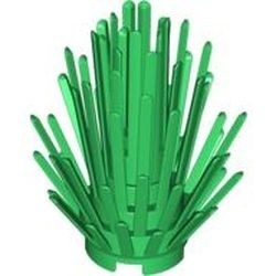 6064-6G Struik (compact) groen gebruikt *5K0000