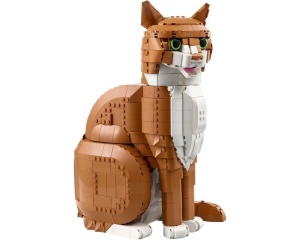 Set 21376 Oranje kat NIEUW *
