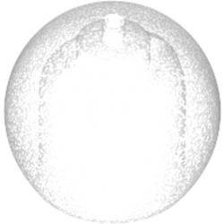 51283-228 Helm / vissenkom transparant satijn NIEUW *0L0000