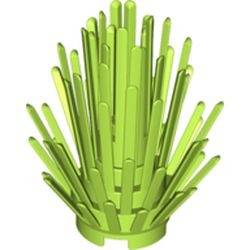 6064-34 Struik (compact) lime NIEUW *5K0000