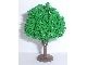 GTFruit-6G Fruitboom met diepte groen gebruikt *1L0000