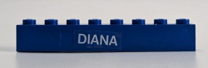 3008pb049-7G Steen 1x8 DIANA (Sticker) blauw gebruikt *5V08-10