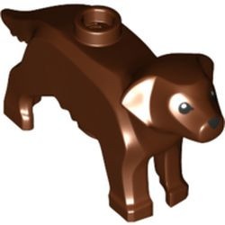 69962pb01-88 Labrador / Golden Retriever met zwarte ogen bruin, roodachtig NIEUW *0D000