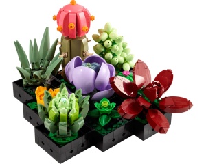 Set 10309-B Set 10309-B Botanical Succulents doos licht berschadigd NIEUW * - Img 2