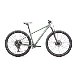 Bicicleta SPECIALIZED Rockhopper Comp 29 - Gloss Pistachio/White Mountains M - Img 2