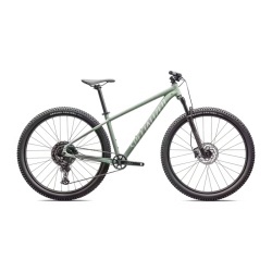 Bicicleta SPECIALIZED Rockhopper Comp 29 - Gloss Pistachio/White Mountains M