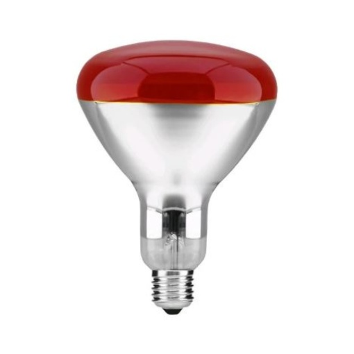Bec infrarosu 250w el0041672