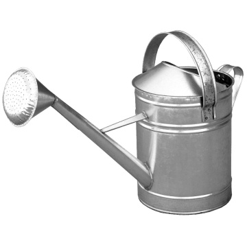 Stropitoare, zincata super 10l 635141 EVOTOOLS