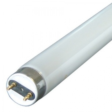 Tub NEOn fluorescent 18w 6400k t8 g13