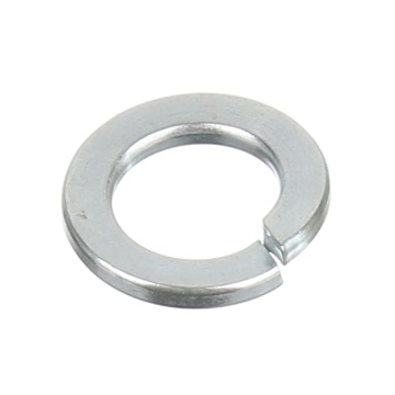 Saiba grower 6mm