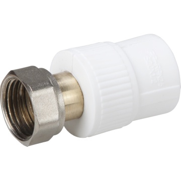 Semiolandez ppr 20*1/2 fi 674729 EVOSANITARY
