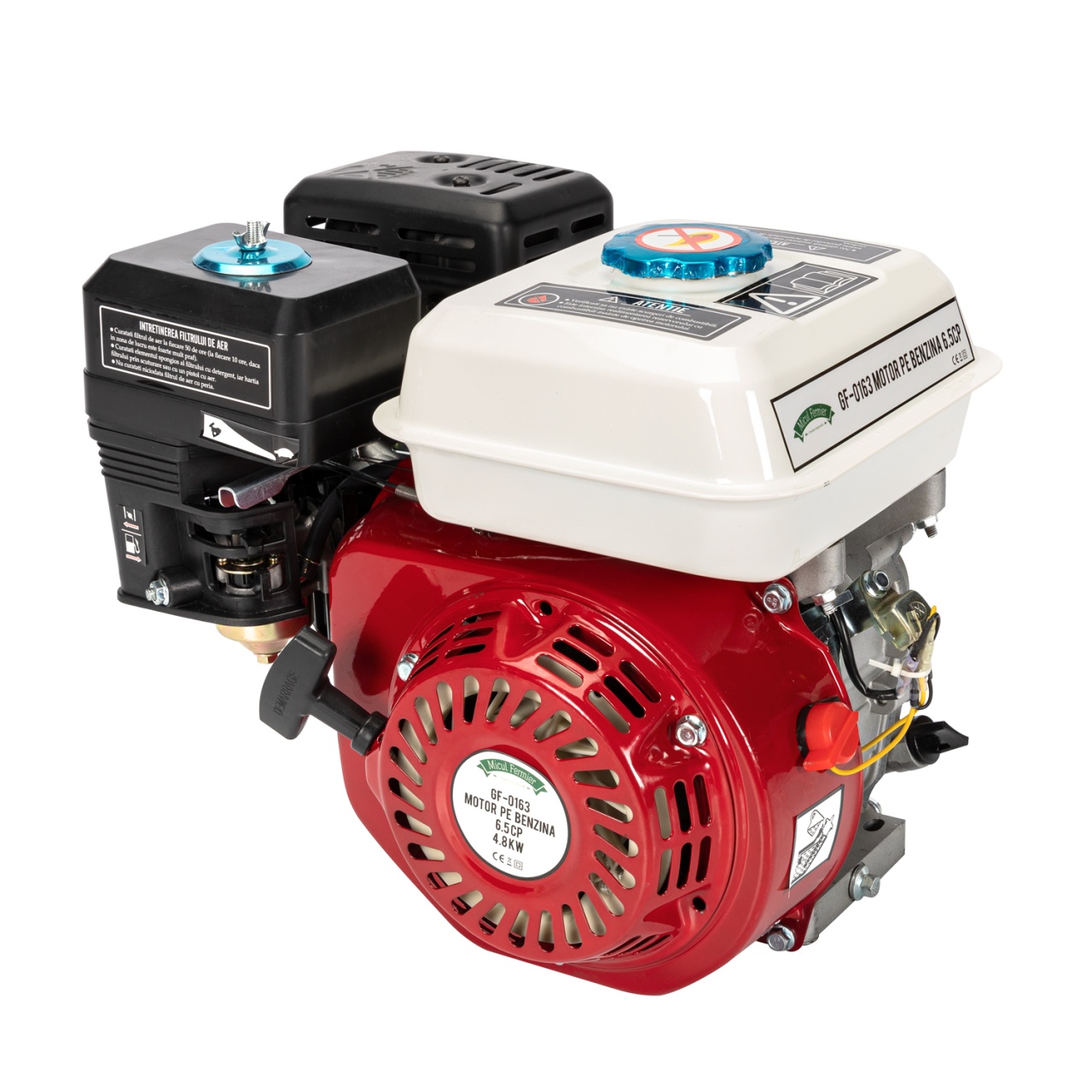 Motor pe benzina 6,5HP [2]