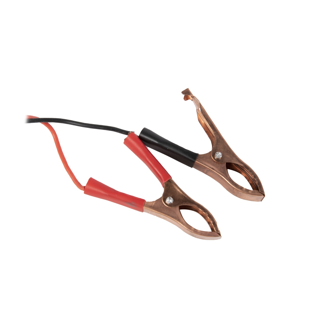 Pompa motorina 12V [1]