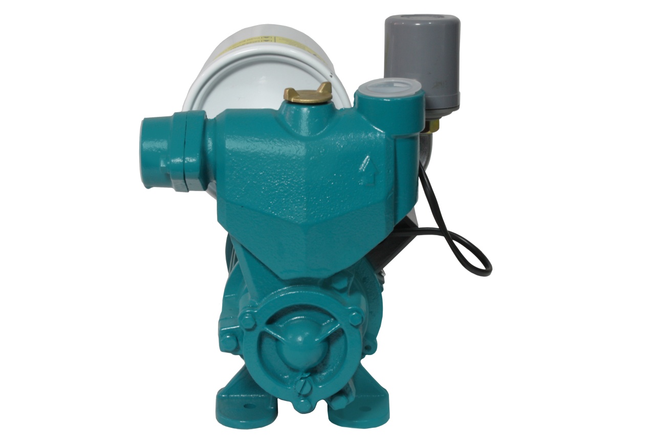 Mini hidrofor Micul Fermier 0.37 kW, debit maxim 2200l/h, inaltime maxima de pompare 33m, corp pompa fonta, capacitate vas expansiune 2 litri [4]