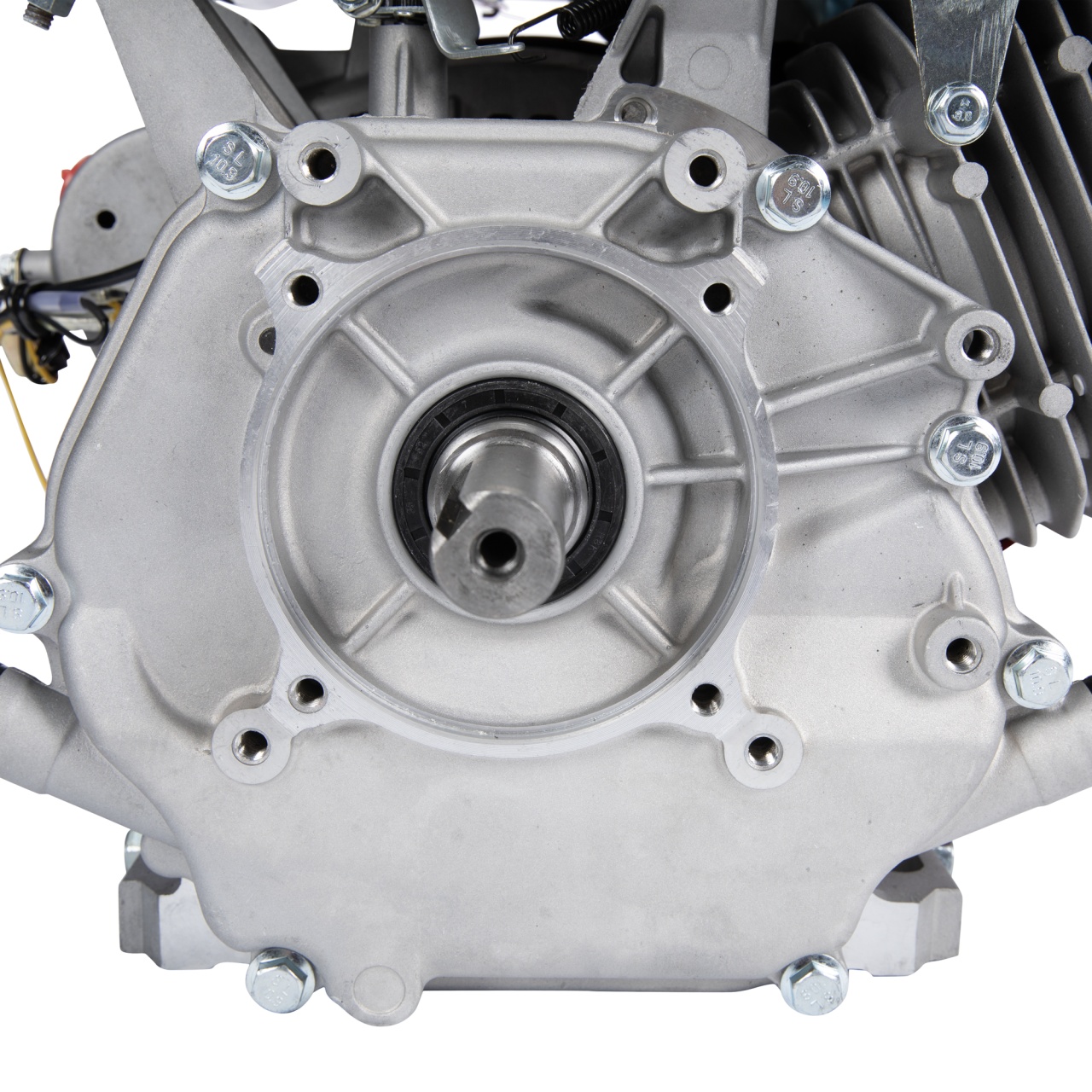 Motor pe benzina 13HP [5]