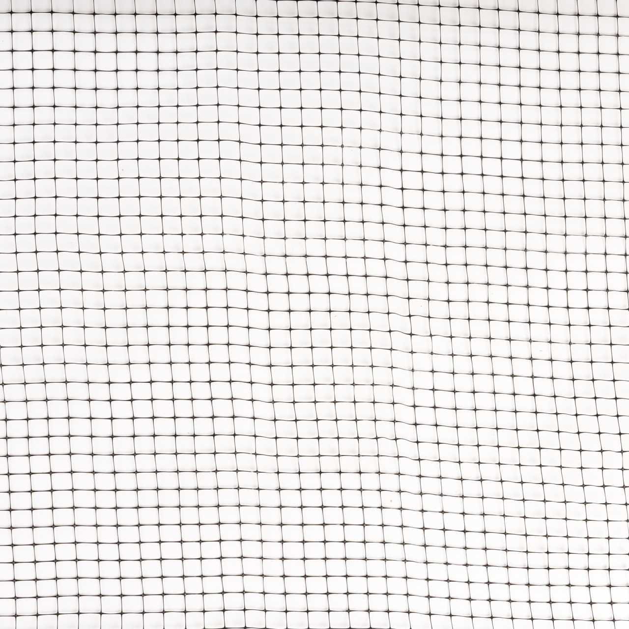 Plasa anti-cartita Micul Fermier, 15x16mm, 2x10m G01 [3]