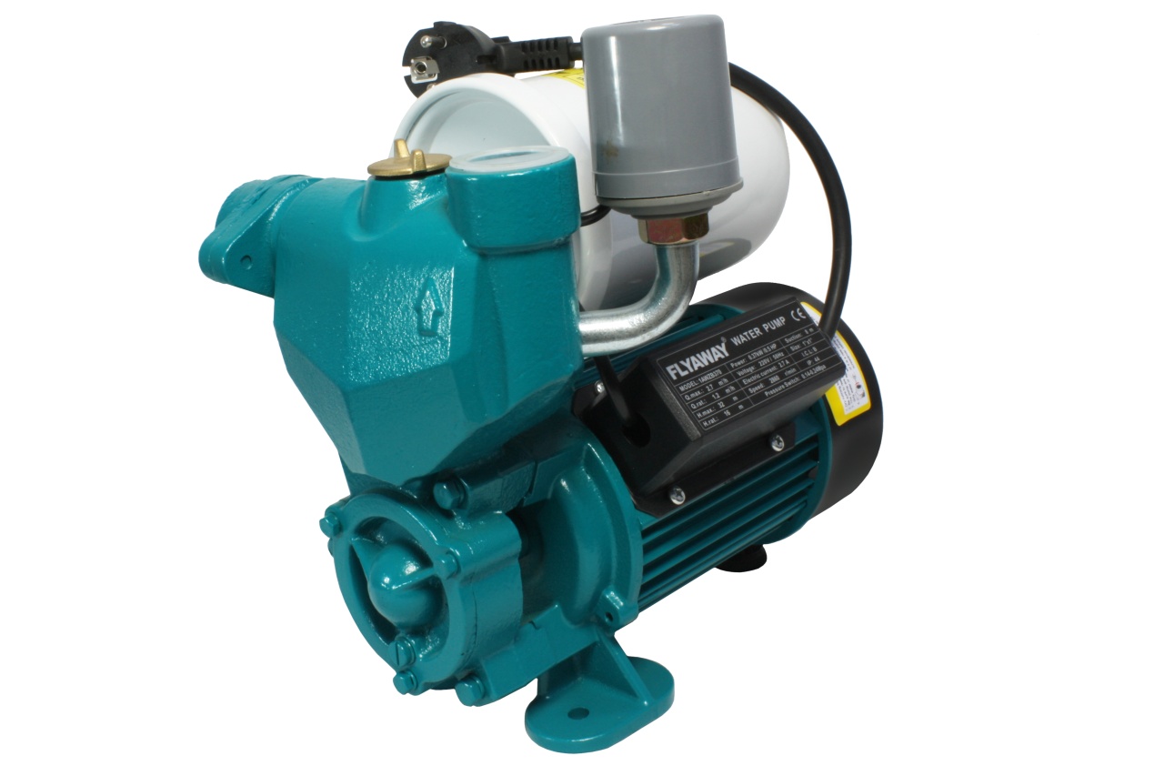 Mini hidrofor Micul Fermier 0.37 kW, debit maxim 2200l/h, inaltime maxima de pompare 33m, corp pompa fonta, capacitate vas expansiune 2 litri [6]