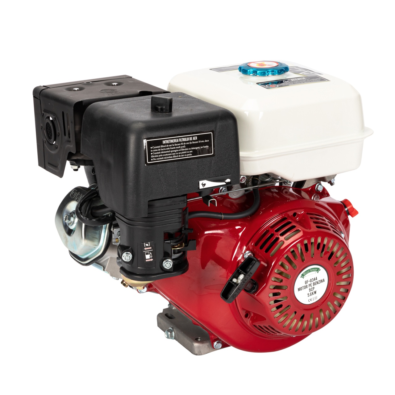 Motor pe benzina 9HP [2]