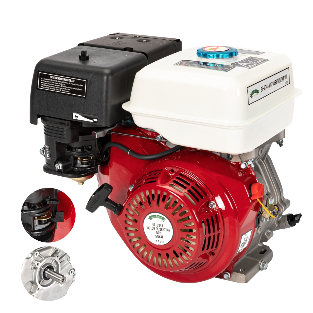 Motor pe benzina 9HP [7]